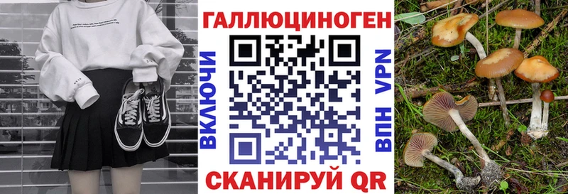купить закладку  Боготол  Псилоцибиновые грибы Psilocybe 